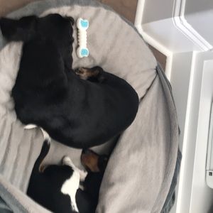 Meet your Posher, Marilyn